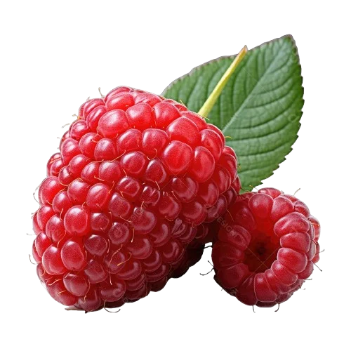 Red raspberries, the natural source of the raspberry ketones in Glycovit